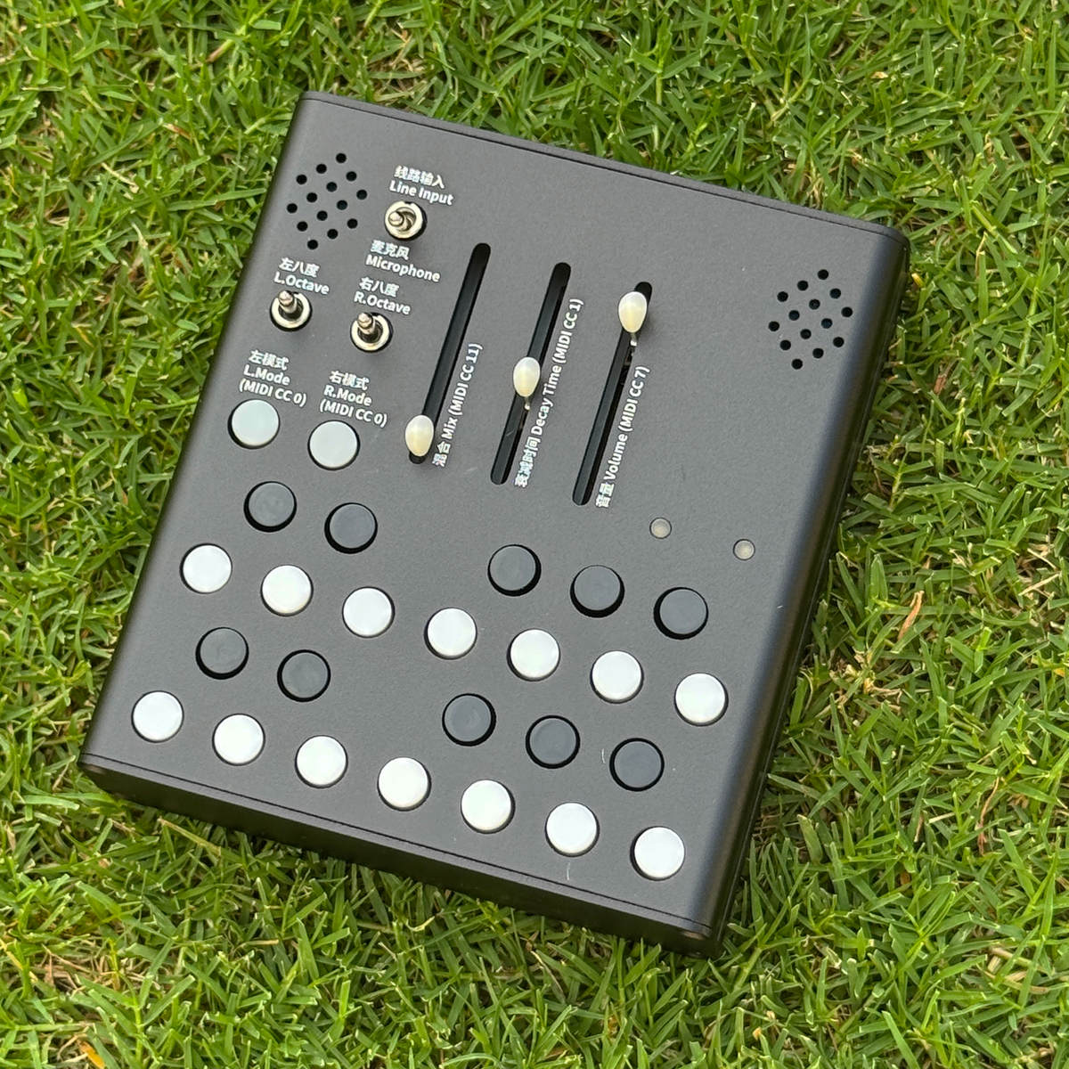 Meng Qi Wingie2 レゾネーター Meng Qi Wingie2 Stereo Resonator - Perfect Circuit