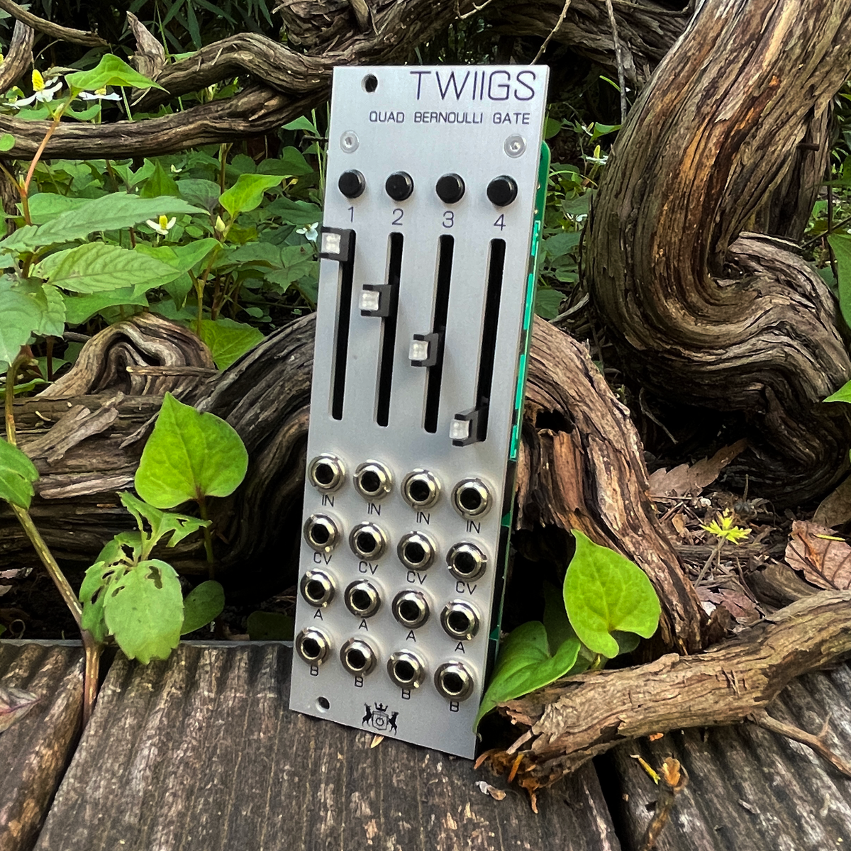 DTM・DAW Michigan Synth Works Twiigs twiigs2020Nat.jpg?v=1589536882