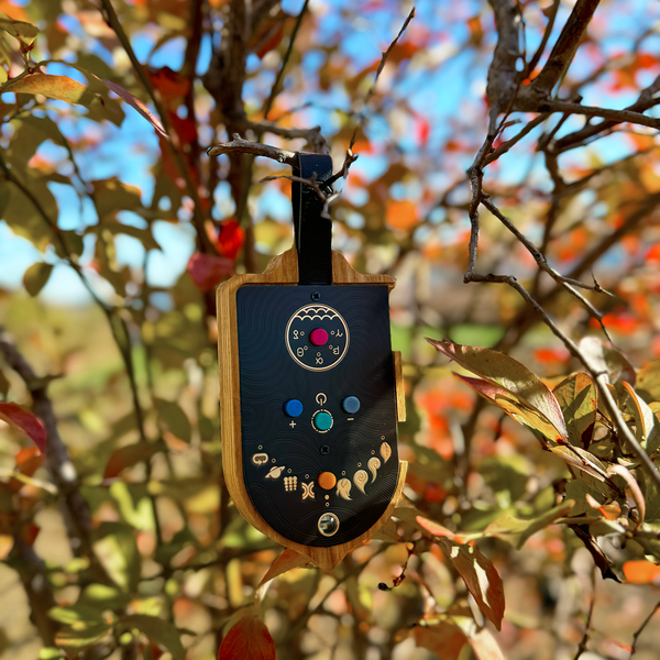 Glo, The Polyphonic Whale