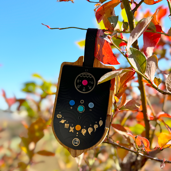 Glo, The Polyphonic Whale