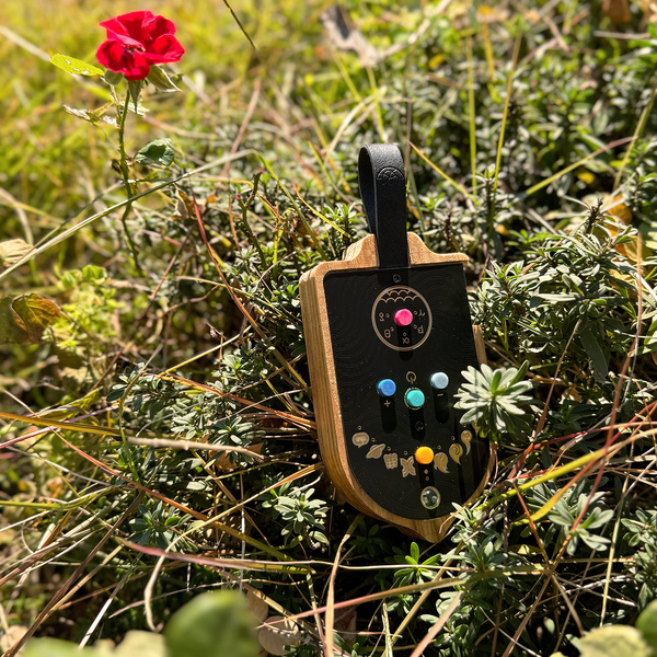 Glo, The Polyphonic Whale