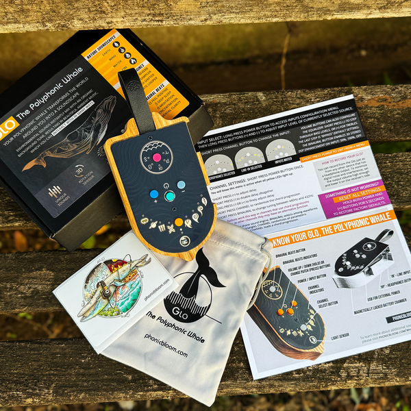 Glo, The Polyphonic Whale