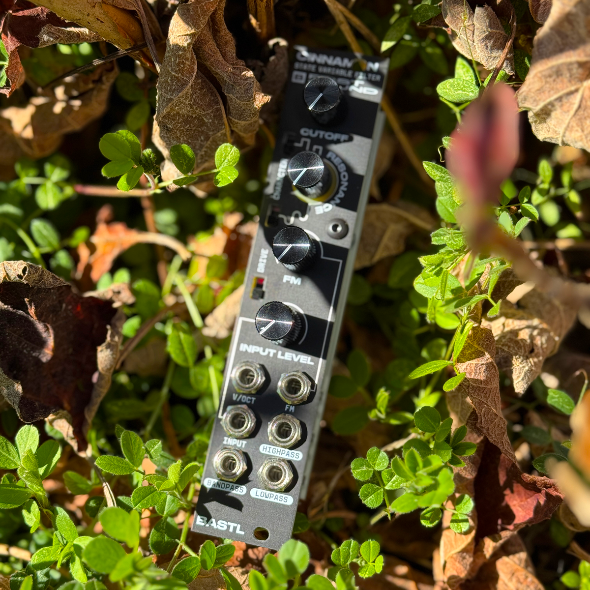 Cinnamon – beatsville