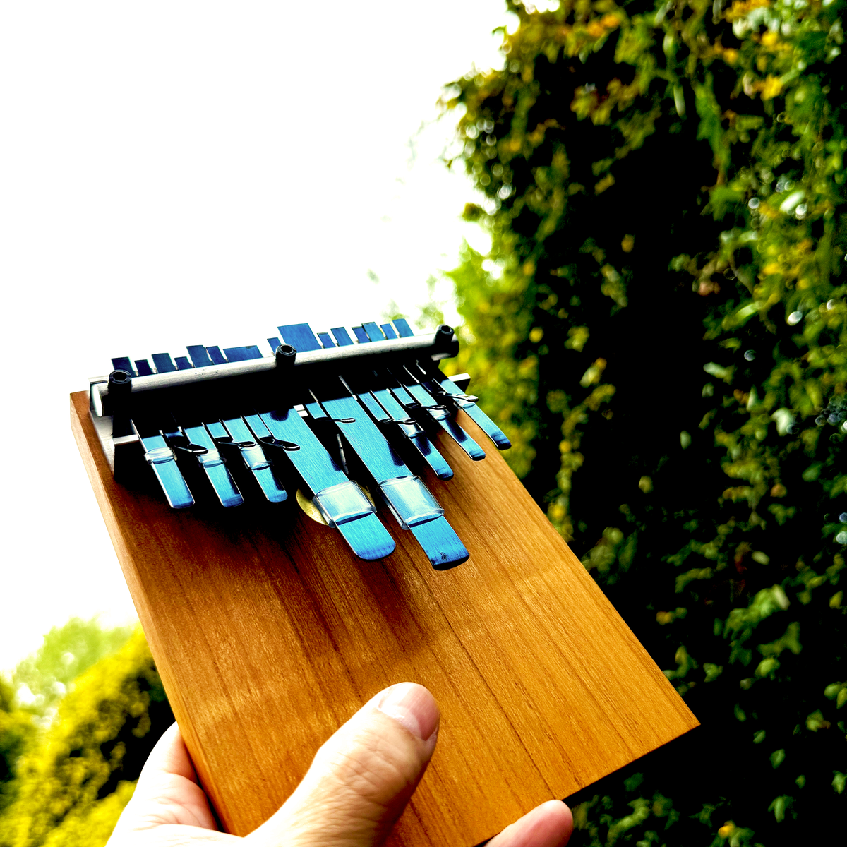 Buck Tooth Nyunga Nyunga eKalimba – beatsville