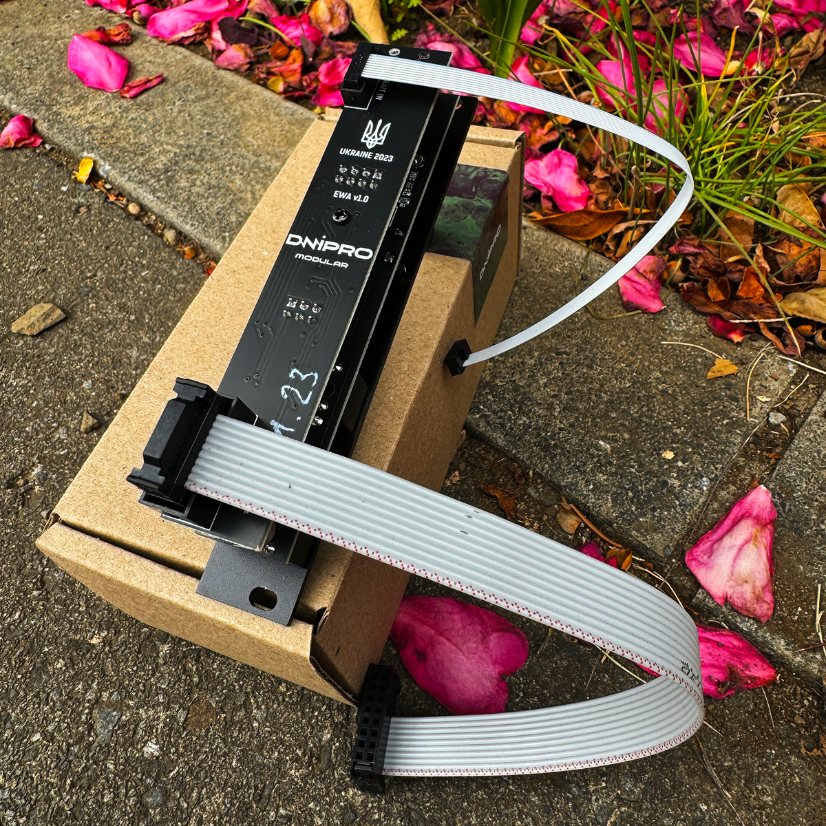DNIPRO MODULAR / EWA – beatsville