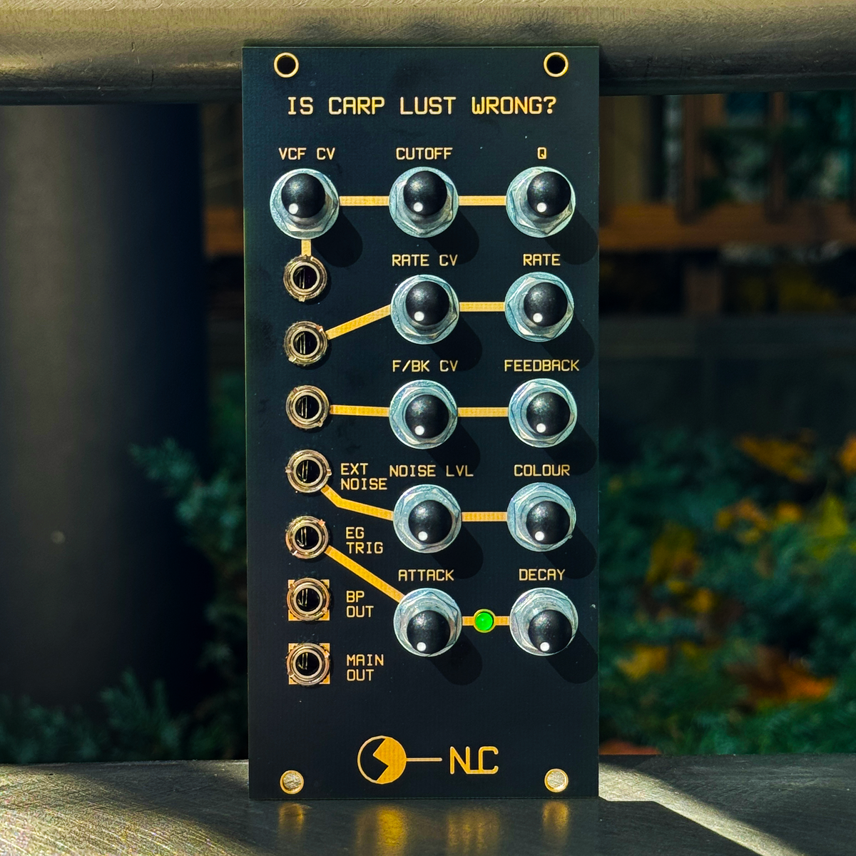Is Carp Lust Wrong? – beatsville