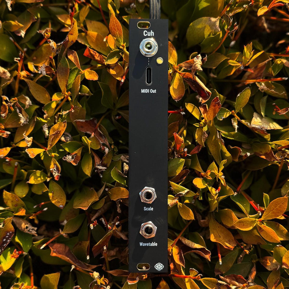 新品sdkc instruments Helical Addiction Cuh