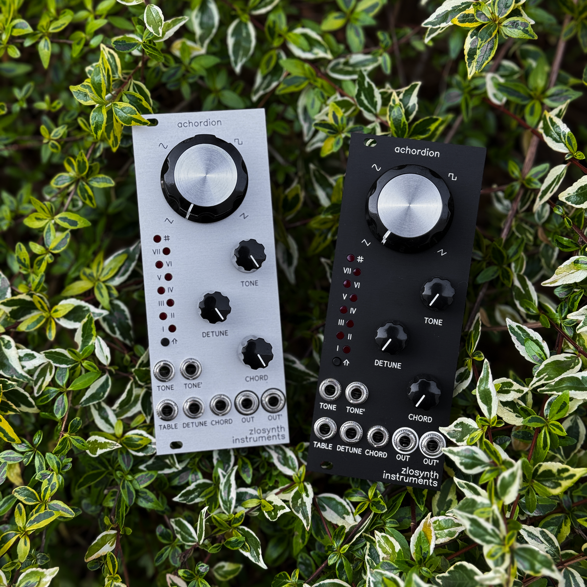 zlosynth achordion ポリフォニックオシレーター Achordion zlosynth achordion ポリフォニックオシレーター Achordion