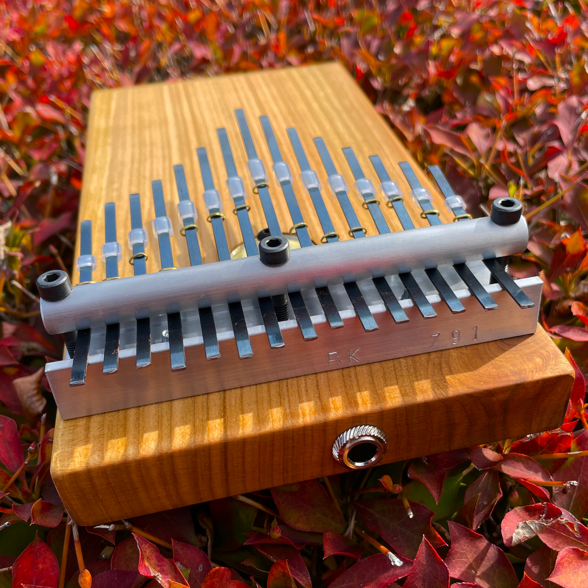 David-Bellinger-Aki-Bono-