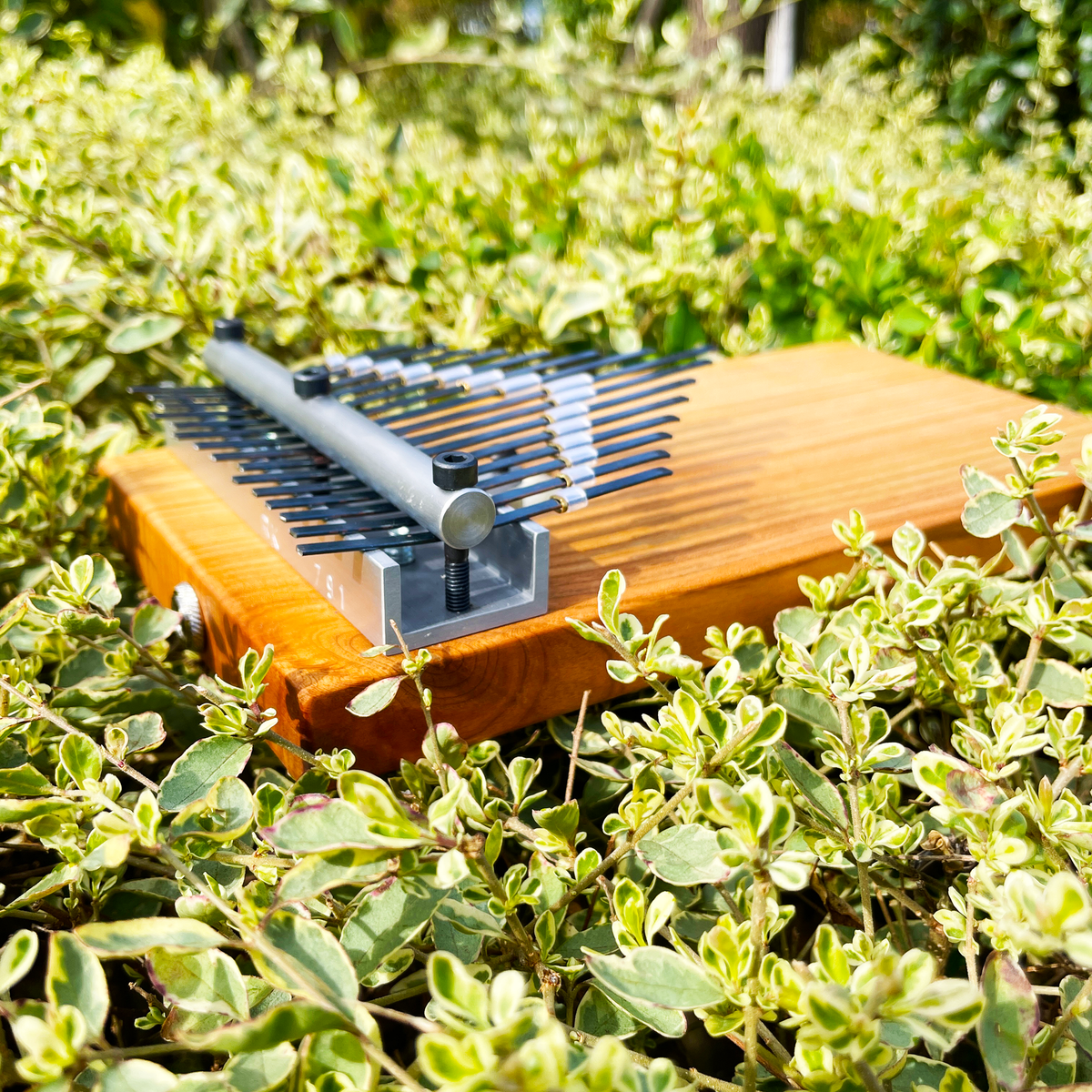 eKalimba Akebono ソフトケース付き eKalimba Akebono ソフトケース付き - メルカリ
