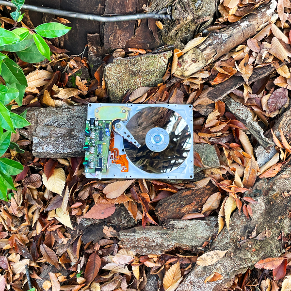 Analog HD2(bigfoot hard disc)