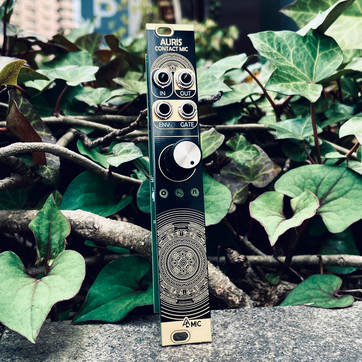 Mutable Instruments Ears 美品 ユーロラック Mutable Instruments Ears 美品 ユーロラック（Mutable