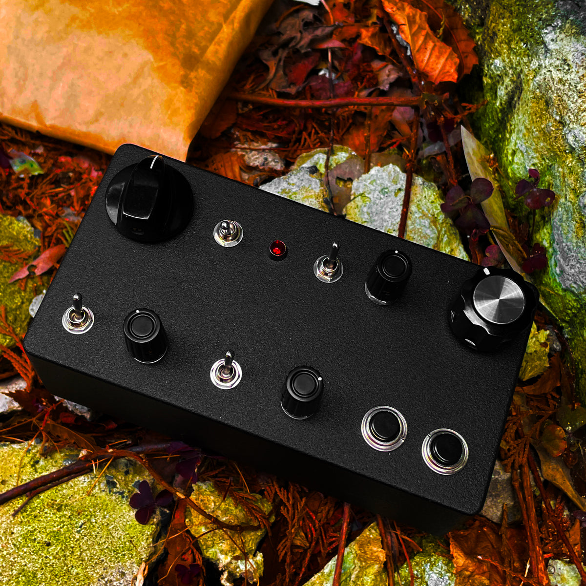 三番館テール3面トンガリフェンダーイノウエキジマセレクト