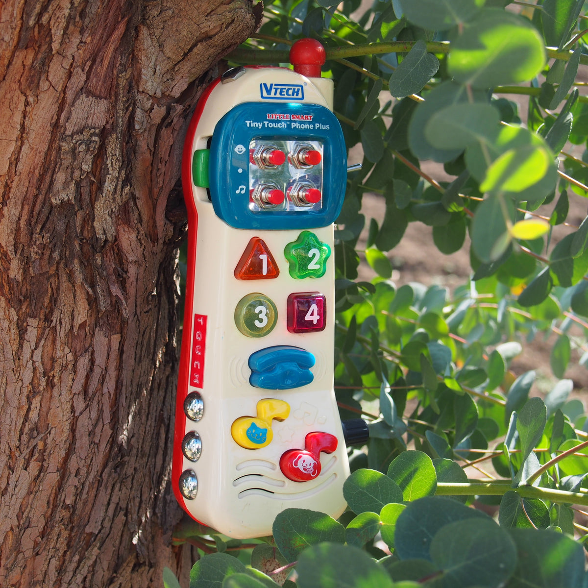 P2210534_1200x1200.jpg?v=