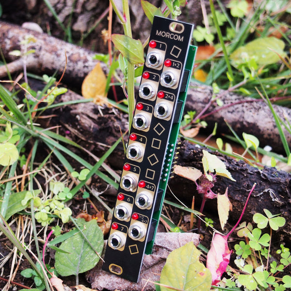 Morcom (Alan/Benjolin Expander)