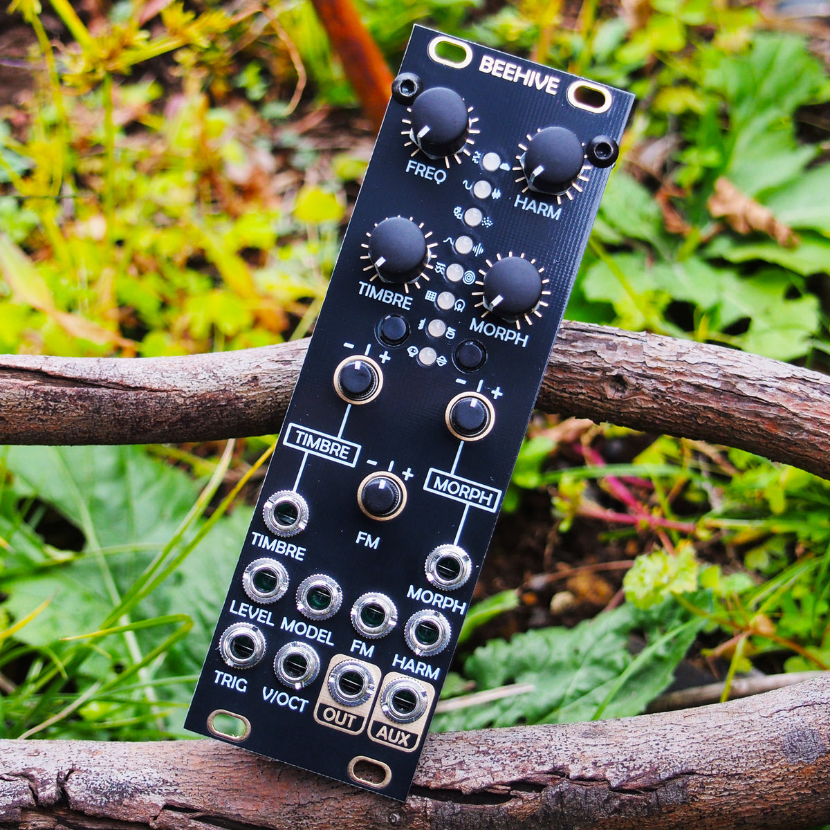 afterlateraudio-beehive-