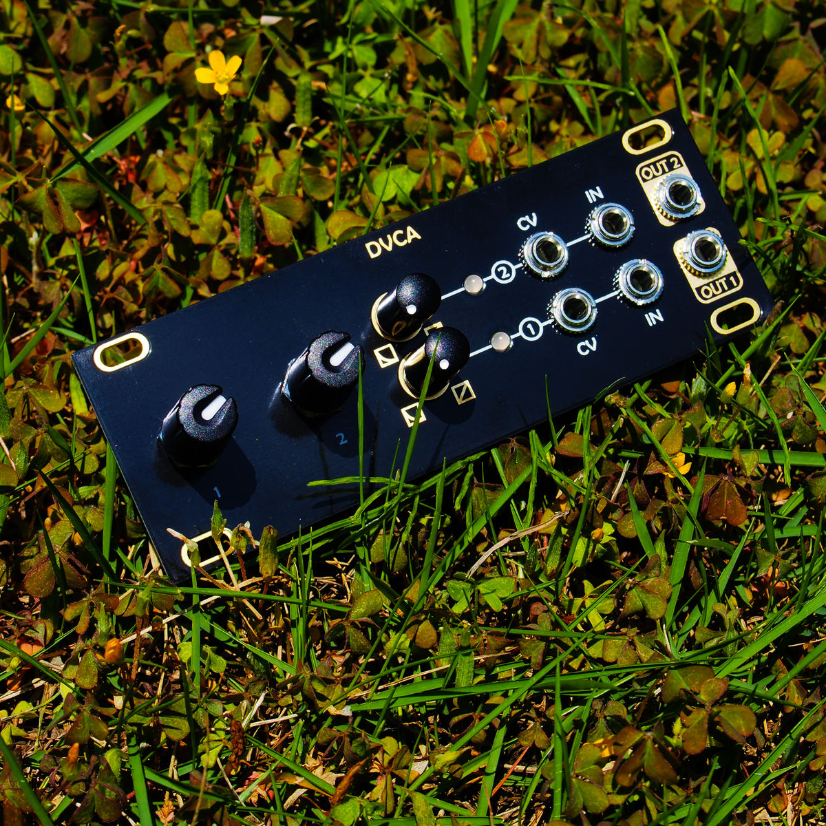 DVCA (1U Intellijel) – beatsville