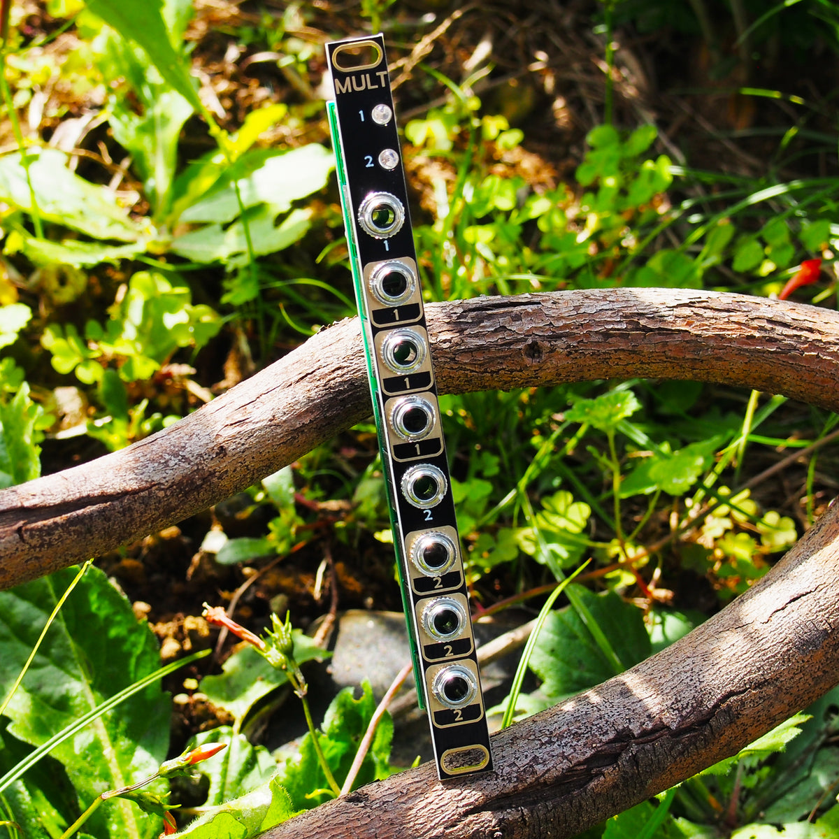 afterlateraudio-mult-