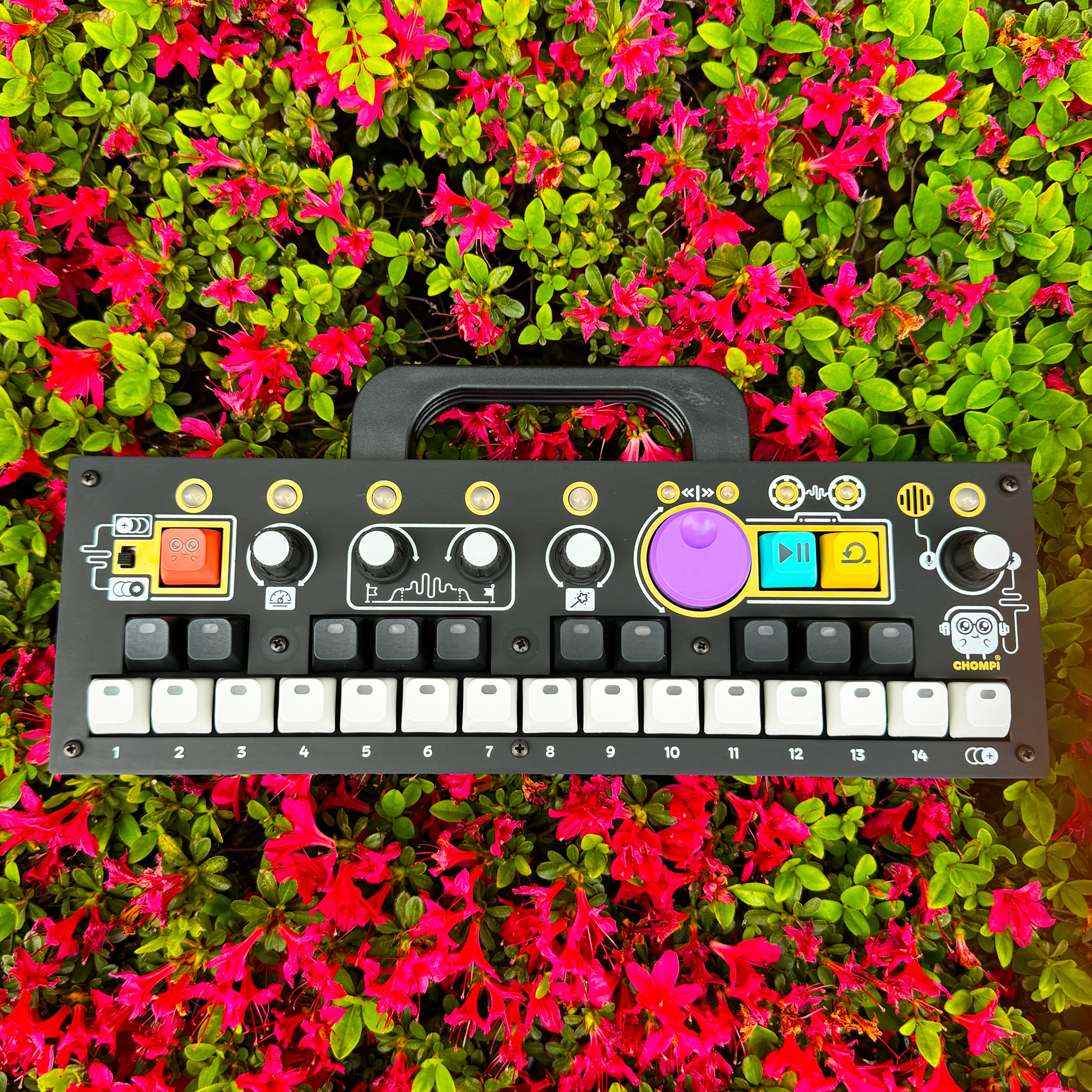 CHOMPI Sampler – beatsville CHOMPI Sampler – beatsville