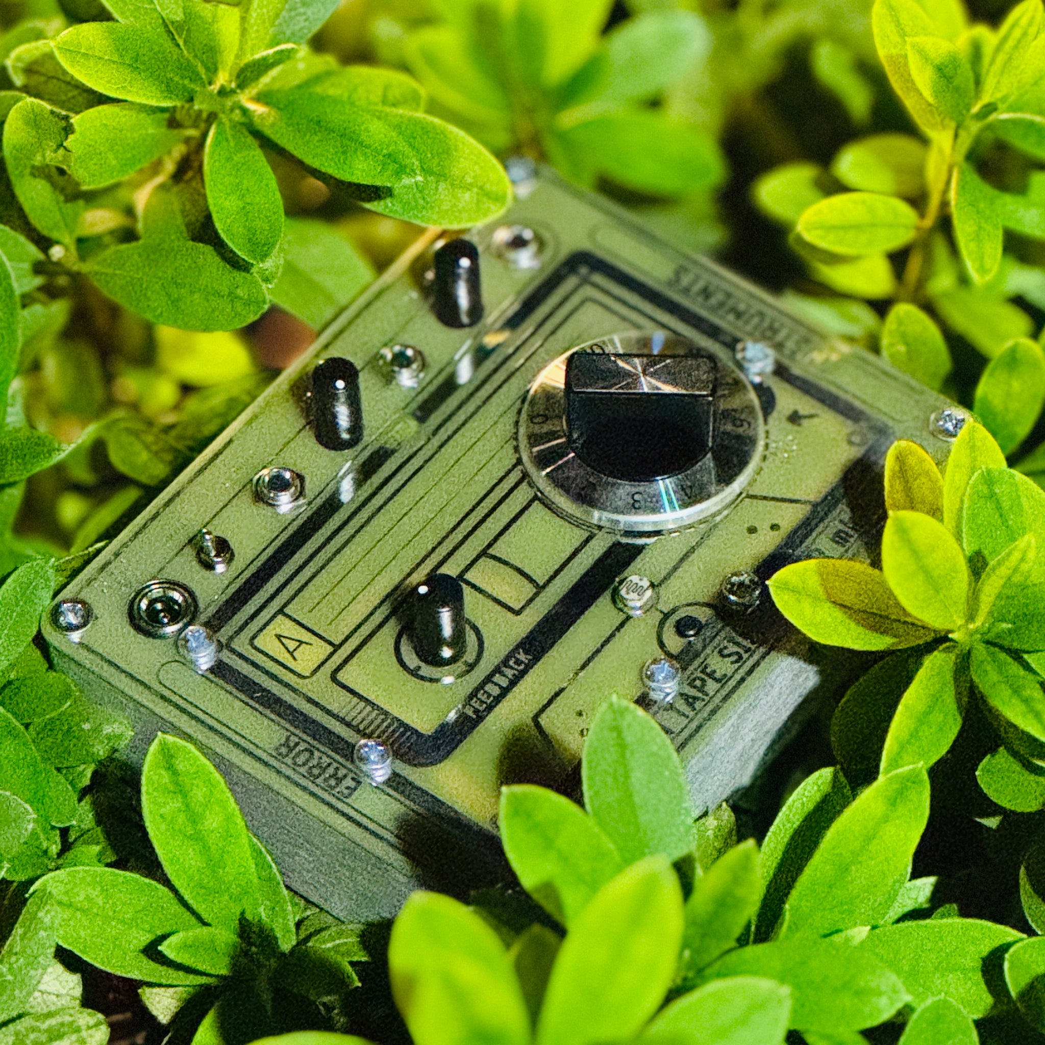 Home page – タグ 