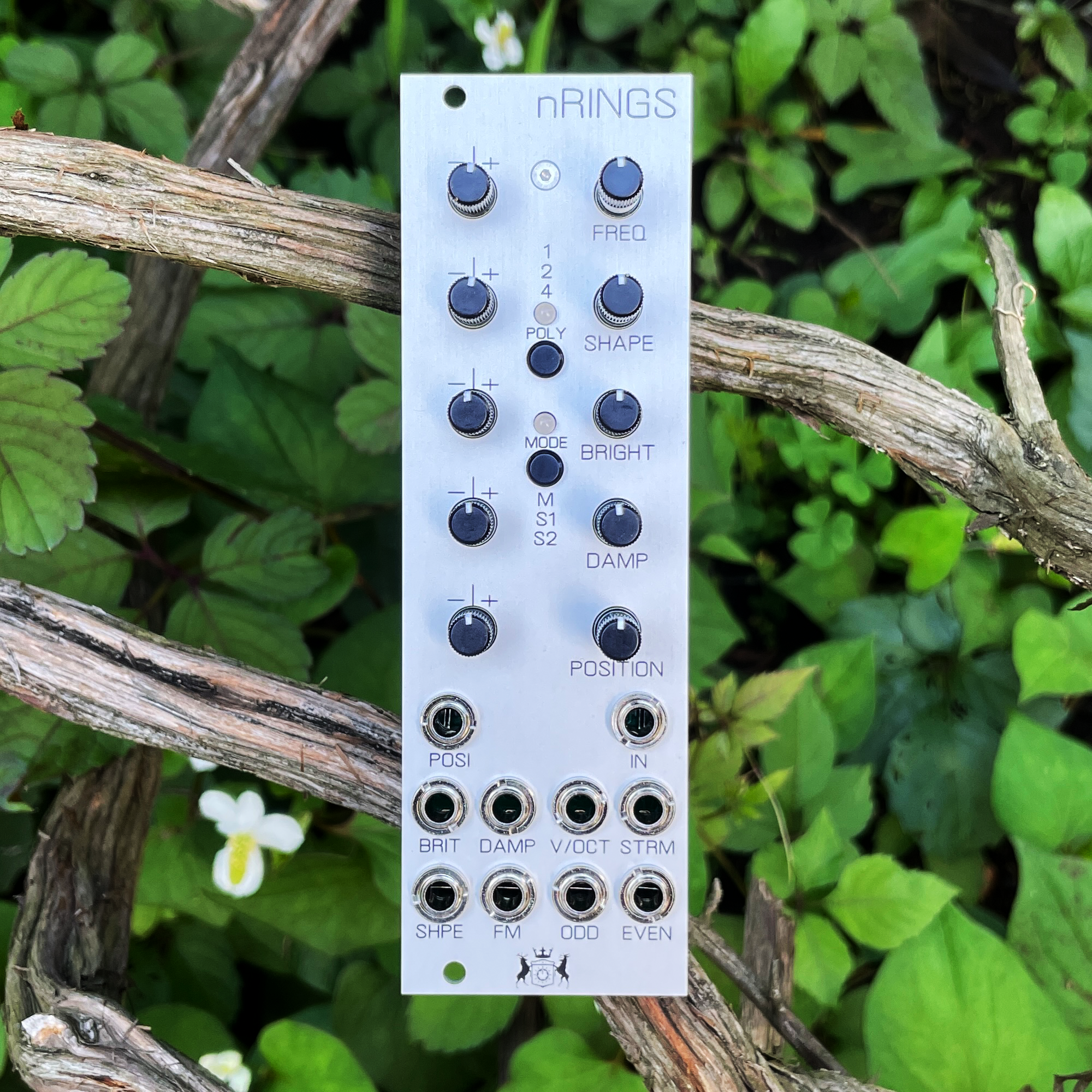 nRings(M.S.W) – beatsville