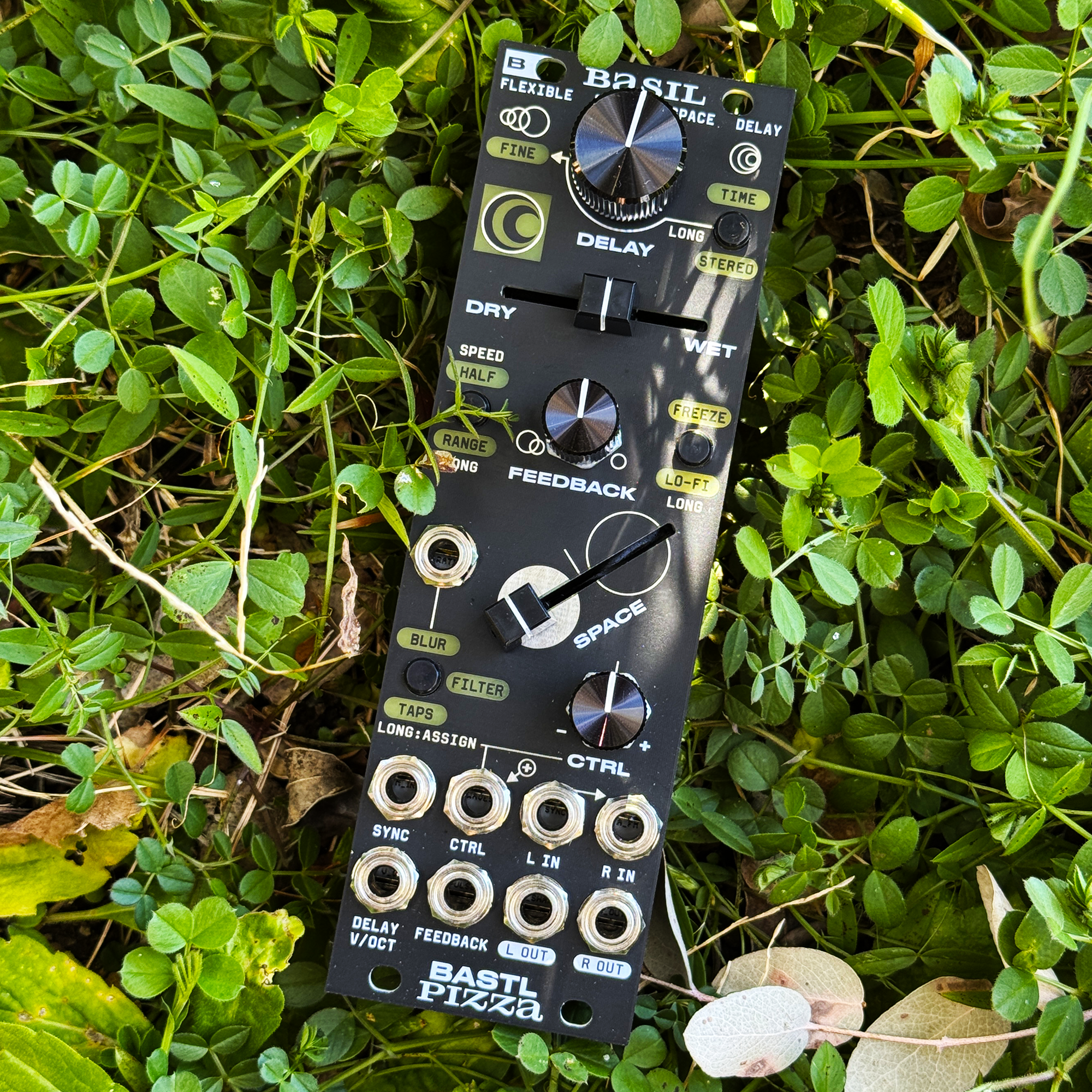 Basil – beatsville