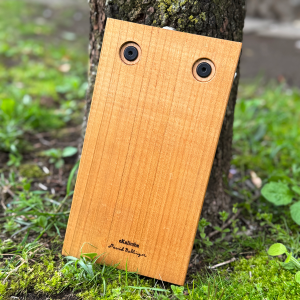 Bass Kalimba