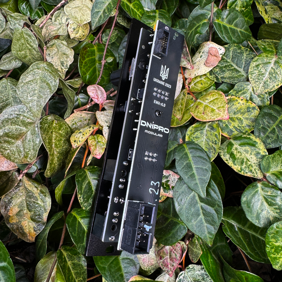 Dnipro Modular Krait + Ewaセット(モジュラーシンセ） Ewa: an expansion to Krait module — DNIPRO MODULAR