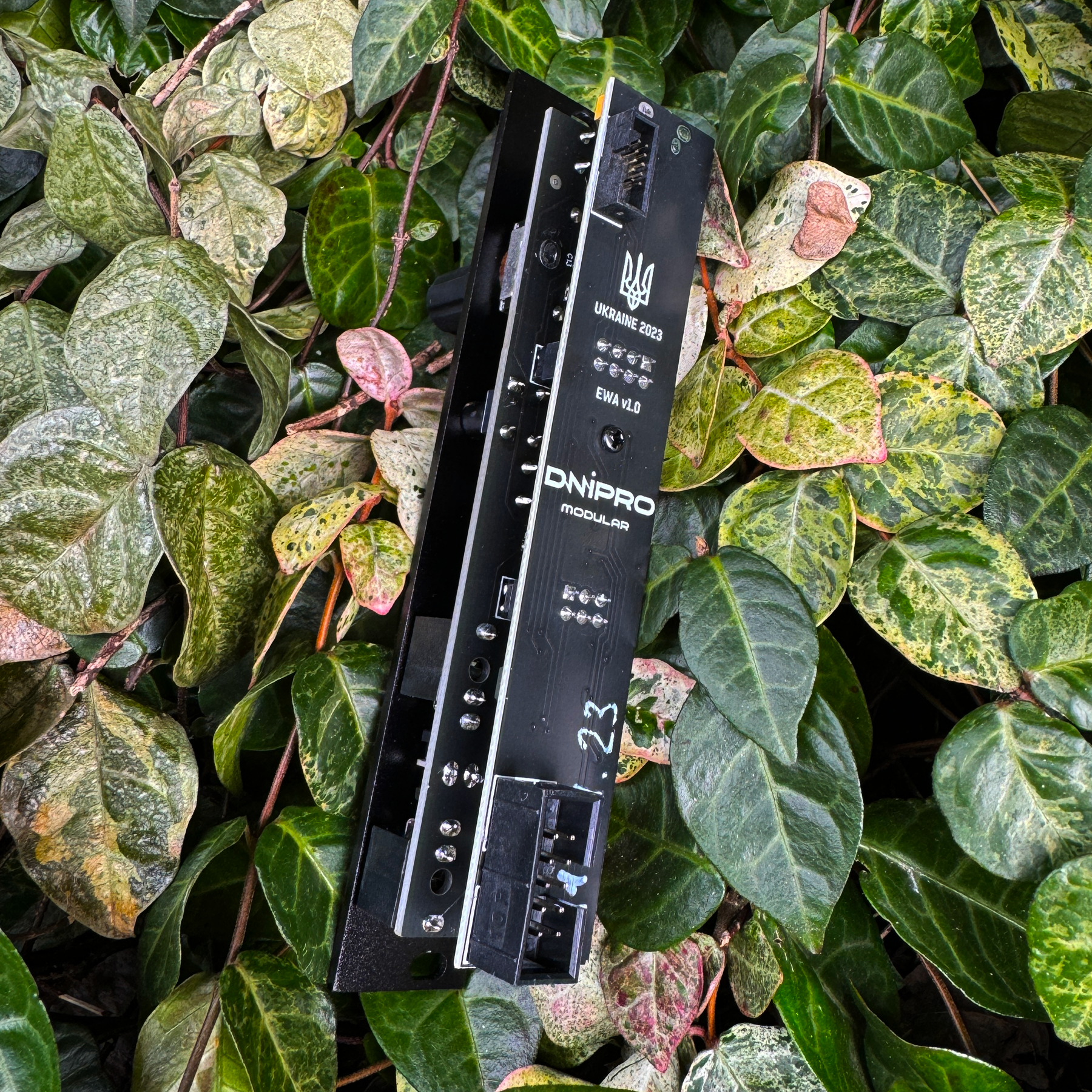DNIPRO MODULAR / EWA – beatsville