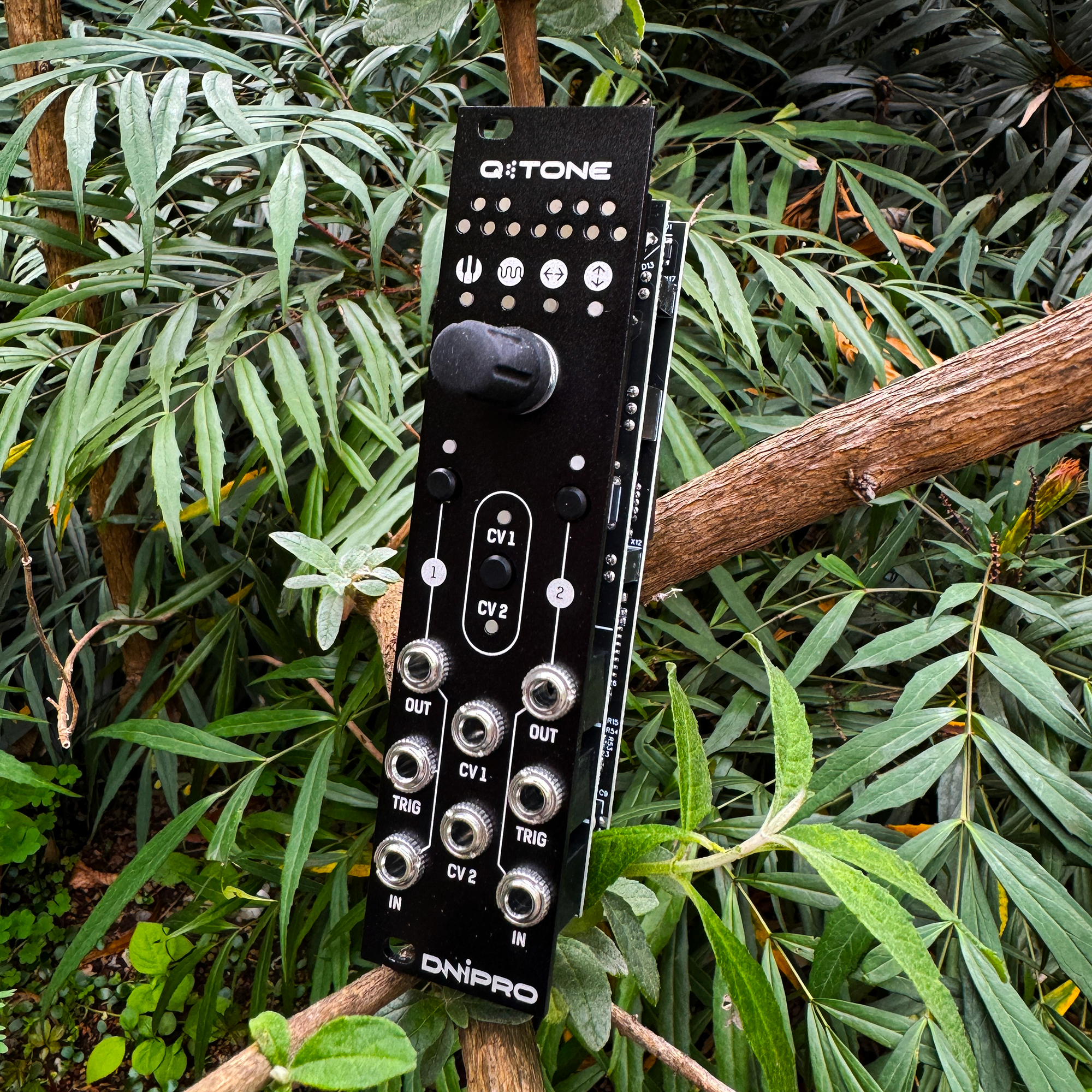Dnipro Modular  qTone クオンタイザー・モジュール Dnipro Modular qTone クオンタイザー・モジュール