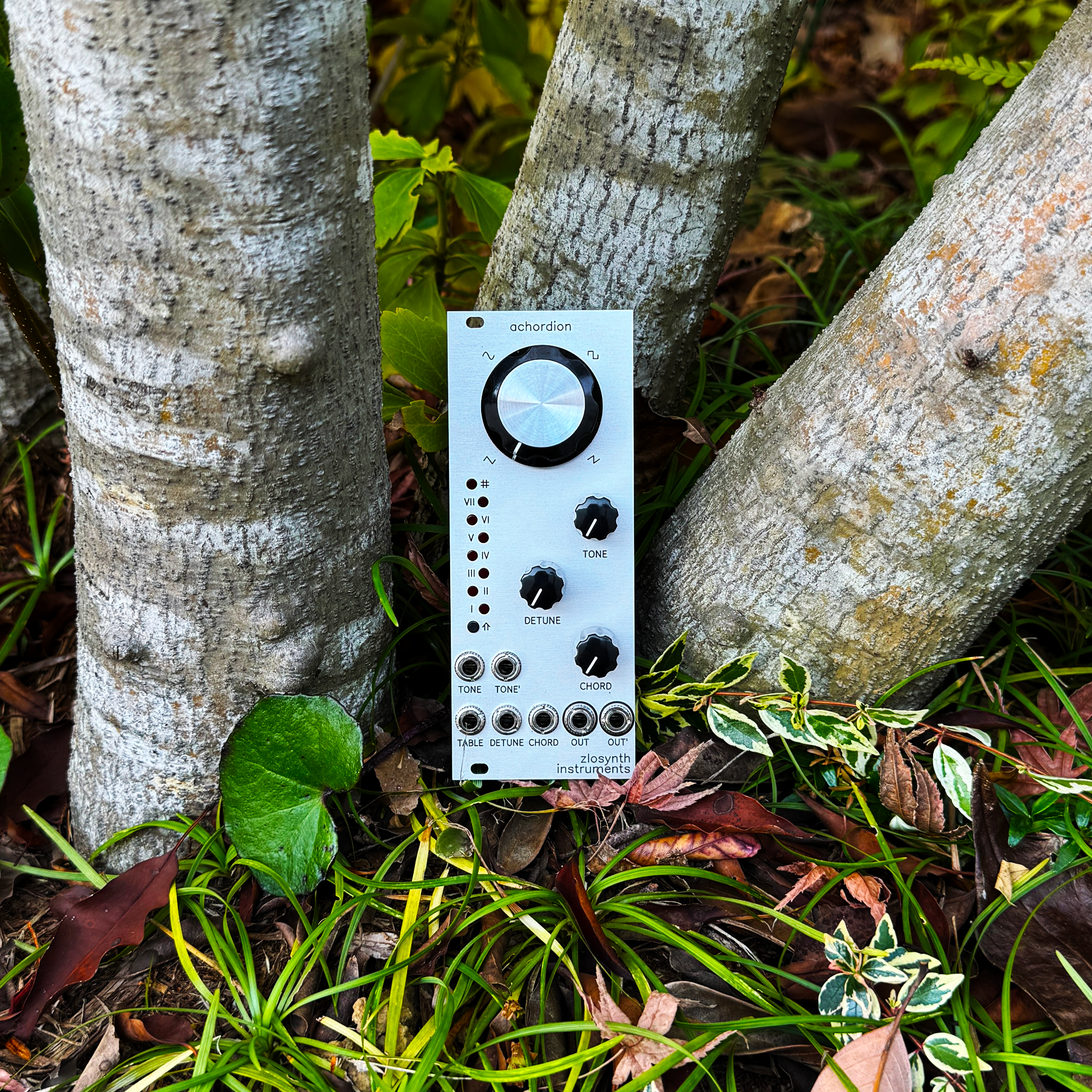 Achordion – beatsville Achordion – beatsville