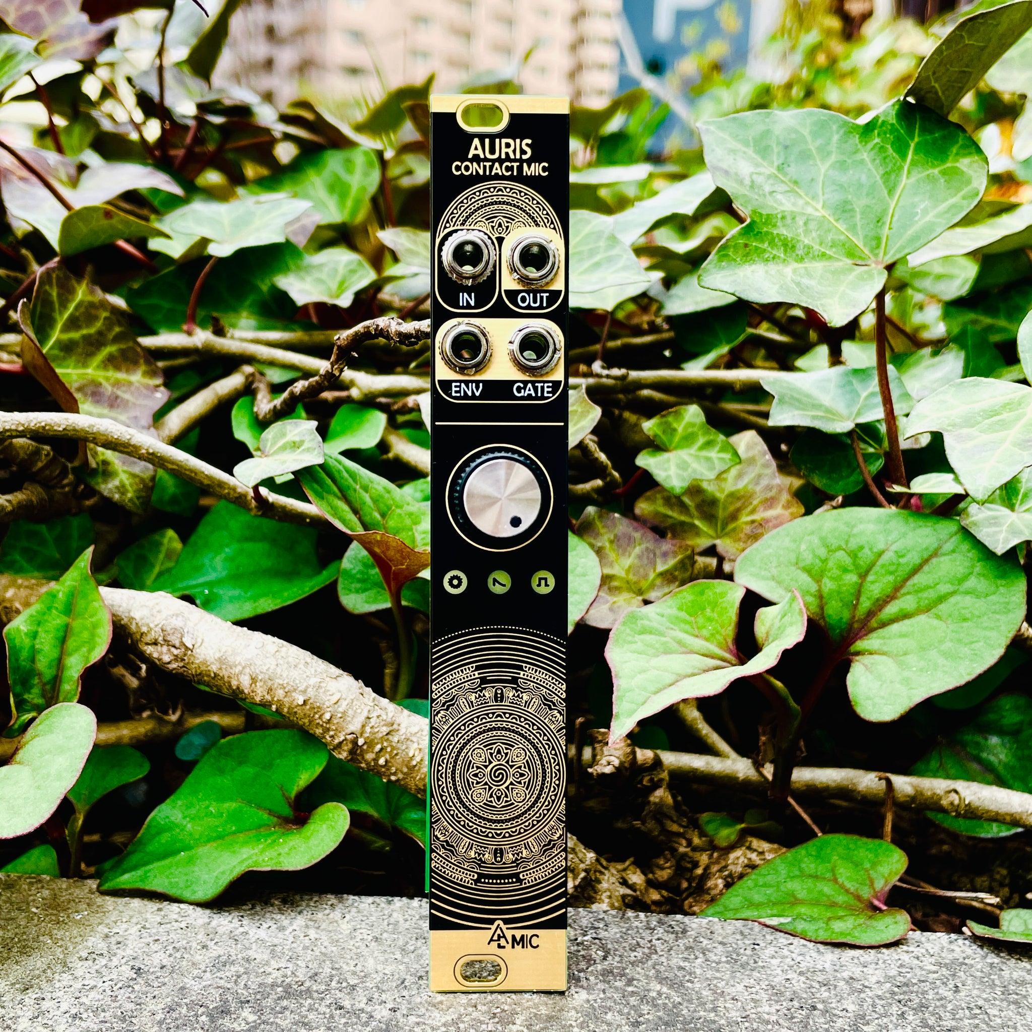 その他 Mutable Instruments Ears Ears - Mutable Instruments - 有限会社 福産起業 - FUKUSAN KIGYO CO