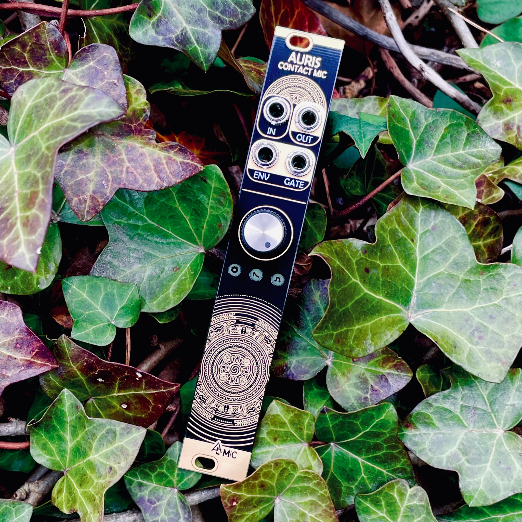 Auris – beatsville