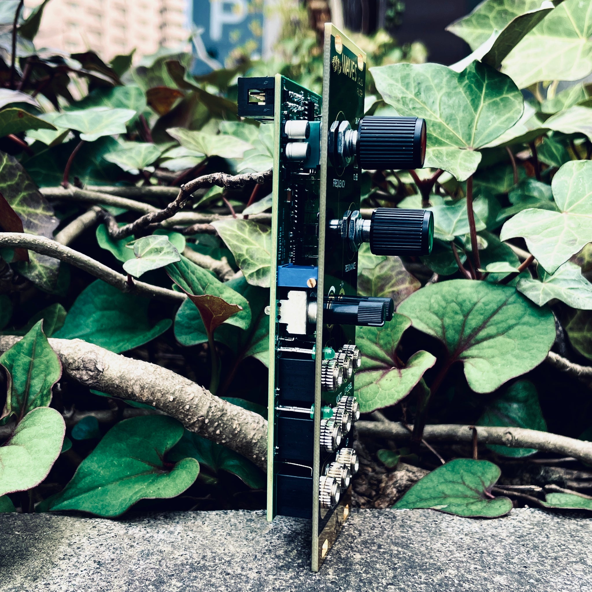 WAVES – beatsville