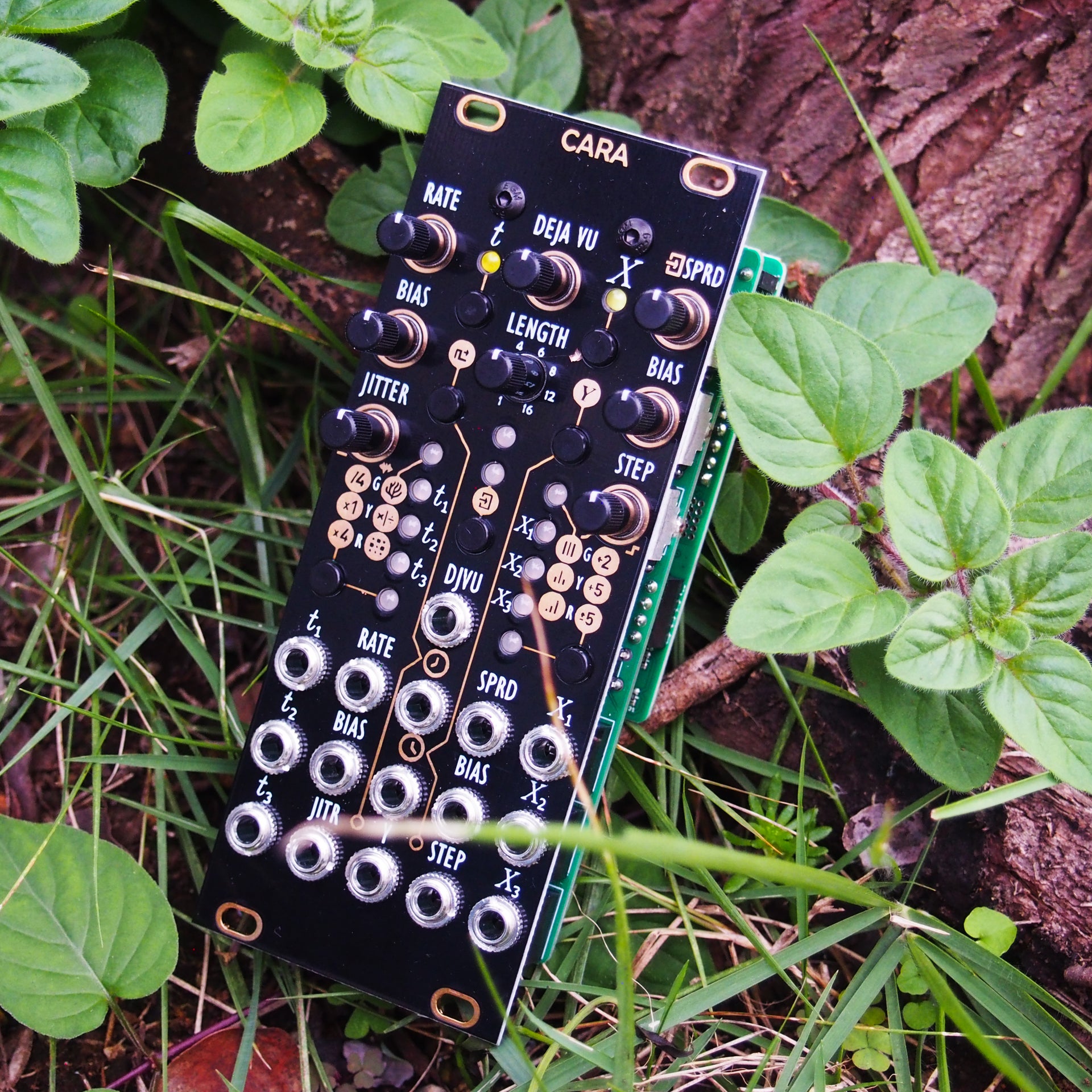 Cara (uMarbles) – beatsville