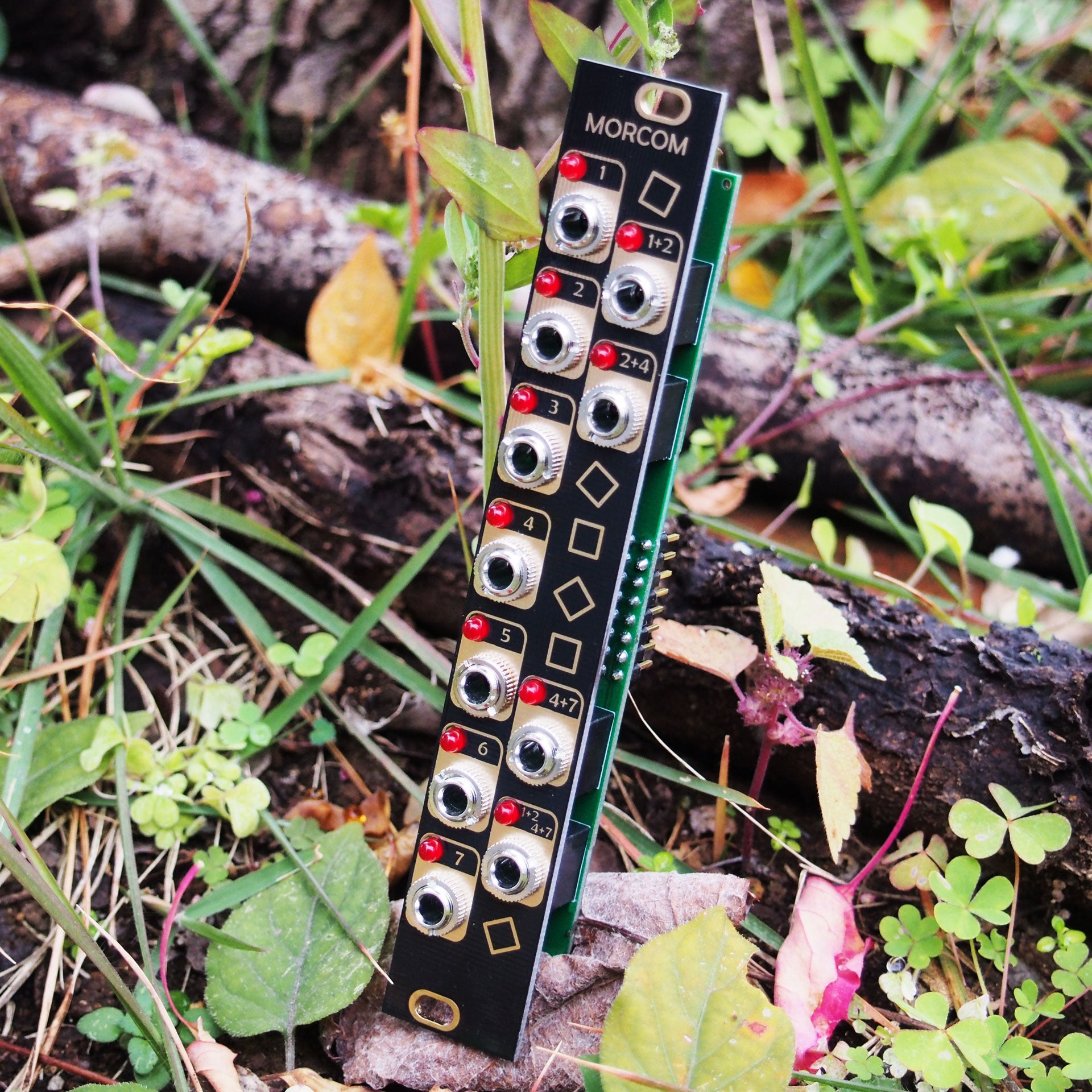 Morcom (Alan/Benjolin Expander) – beatsville