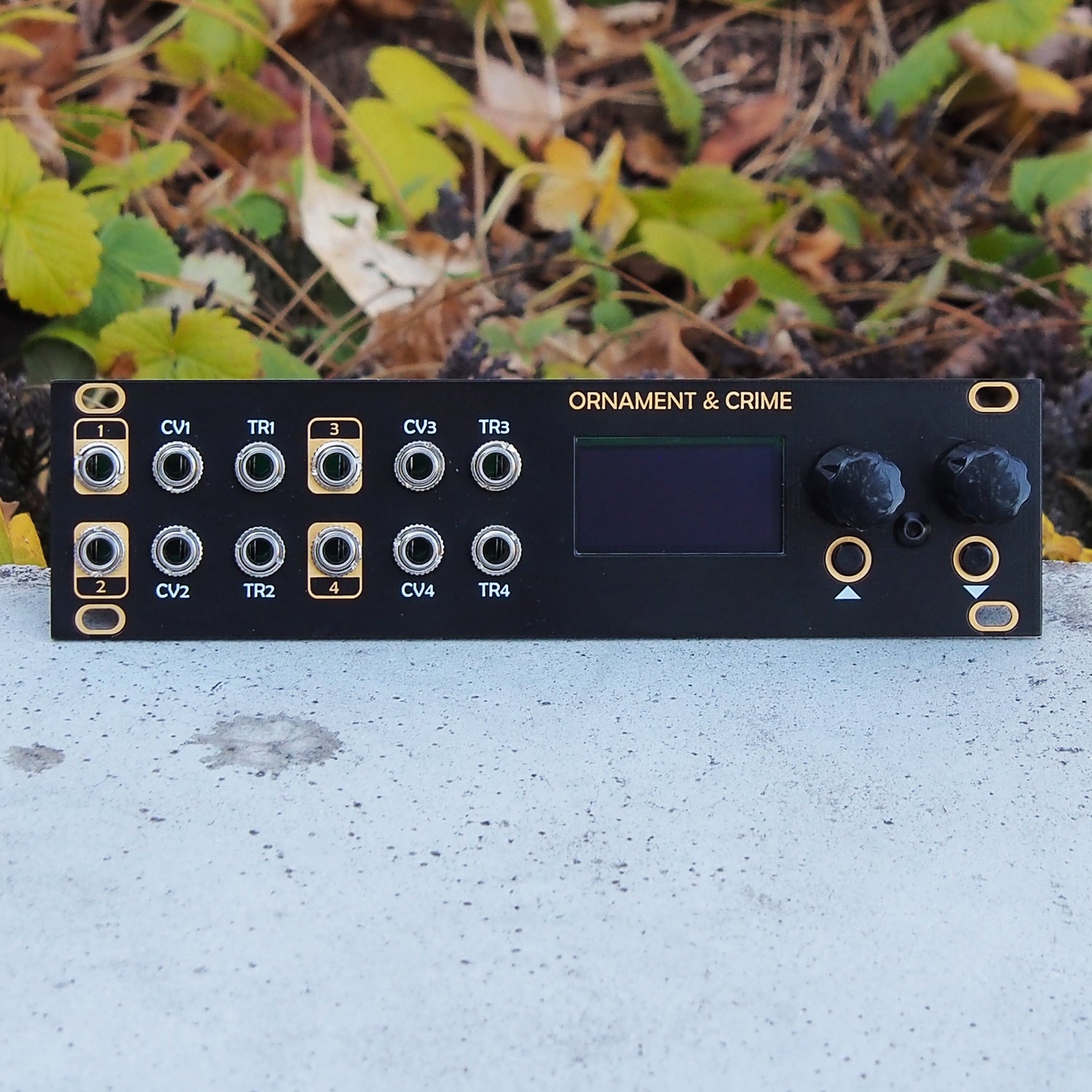 Home page – タグ 