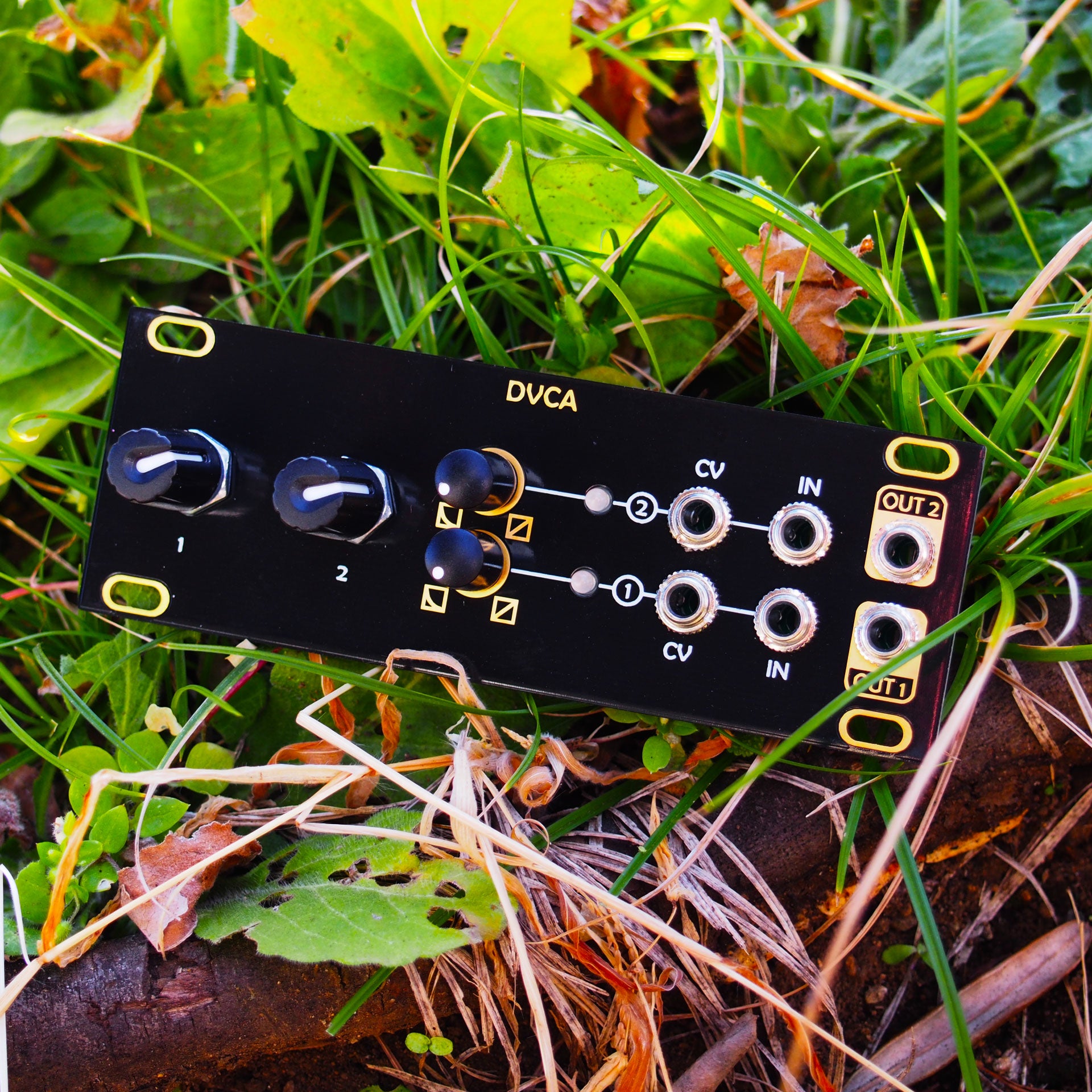 DVCA (1U Intellijel) – beatsville