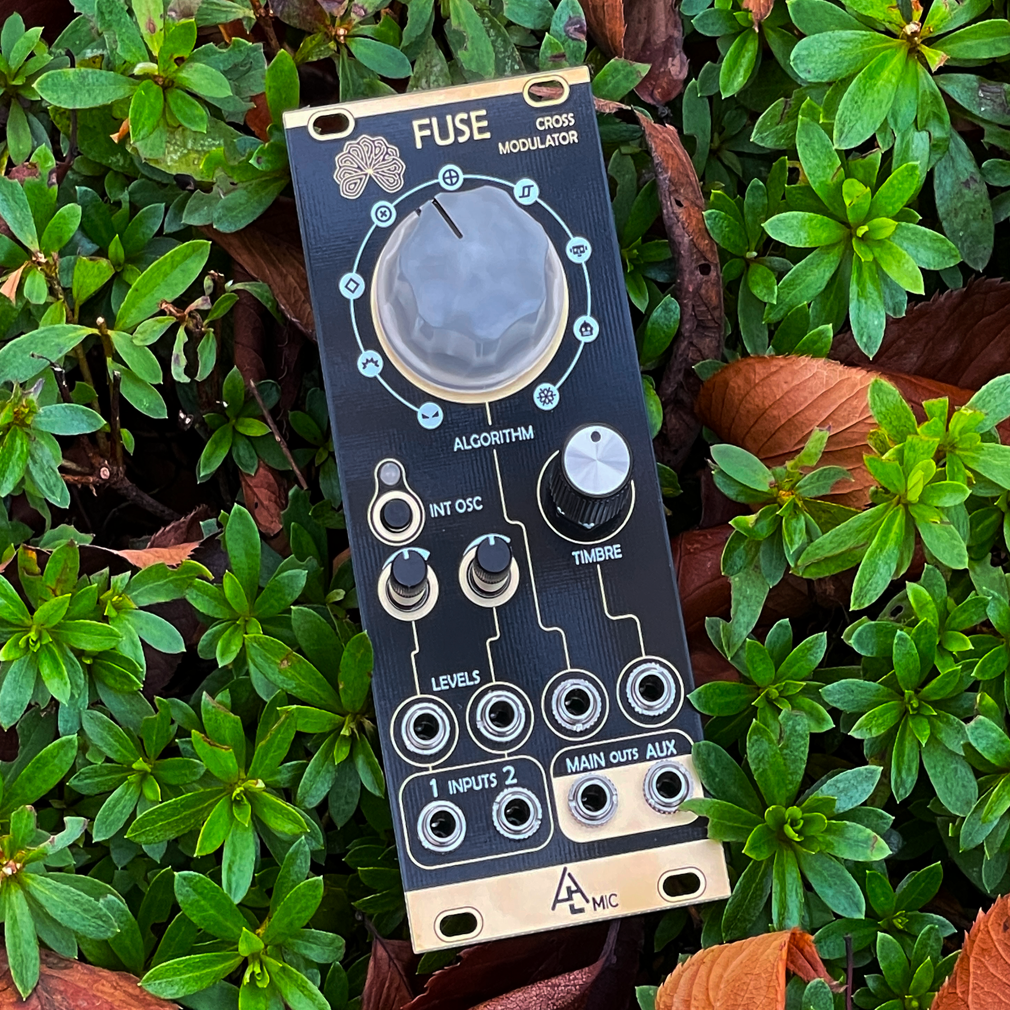 Fuse – beatsville Fuse – beatsville