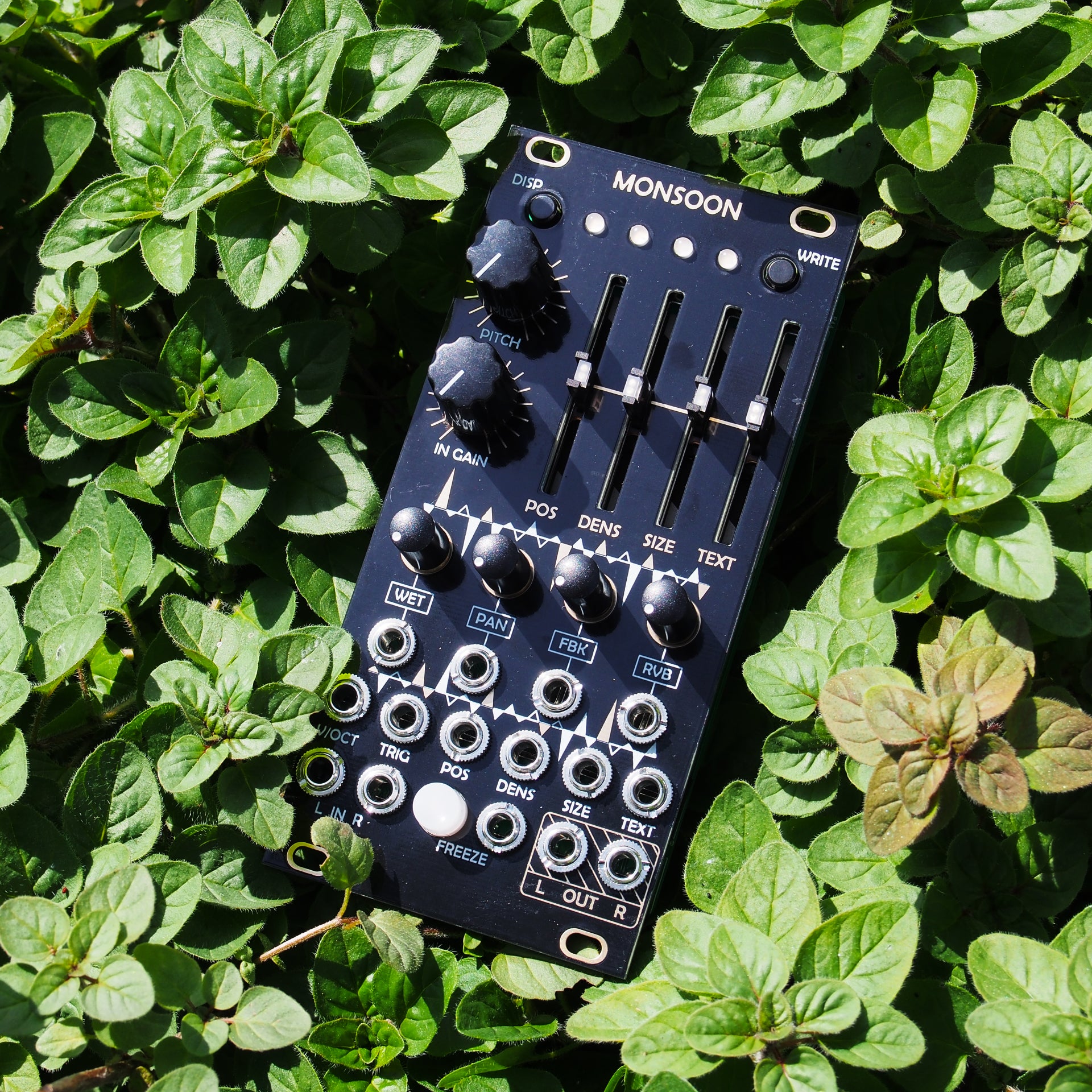 afterlateraudio-monsoon-