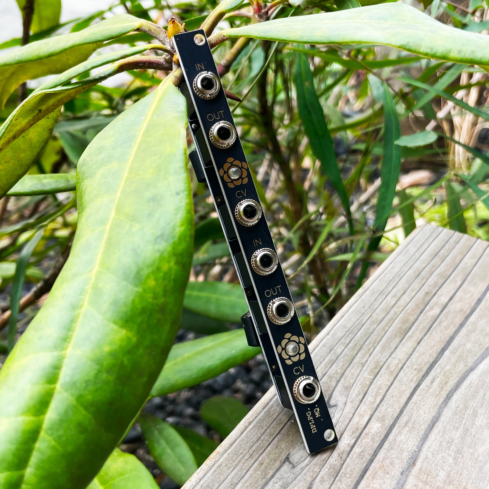 鍵盤楽器 Meng Qi DPLPG DPLPG (Dual Passive LPG) – beatsville