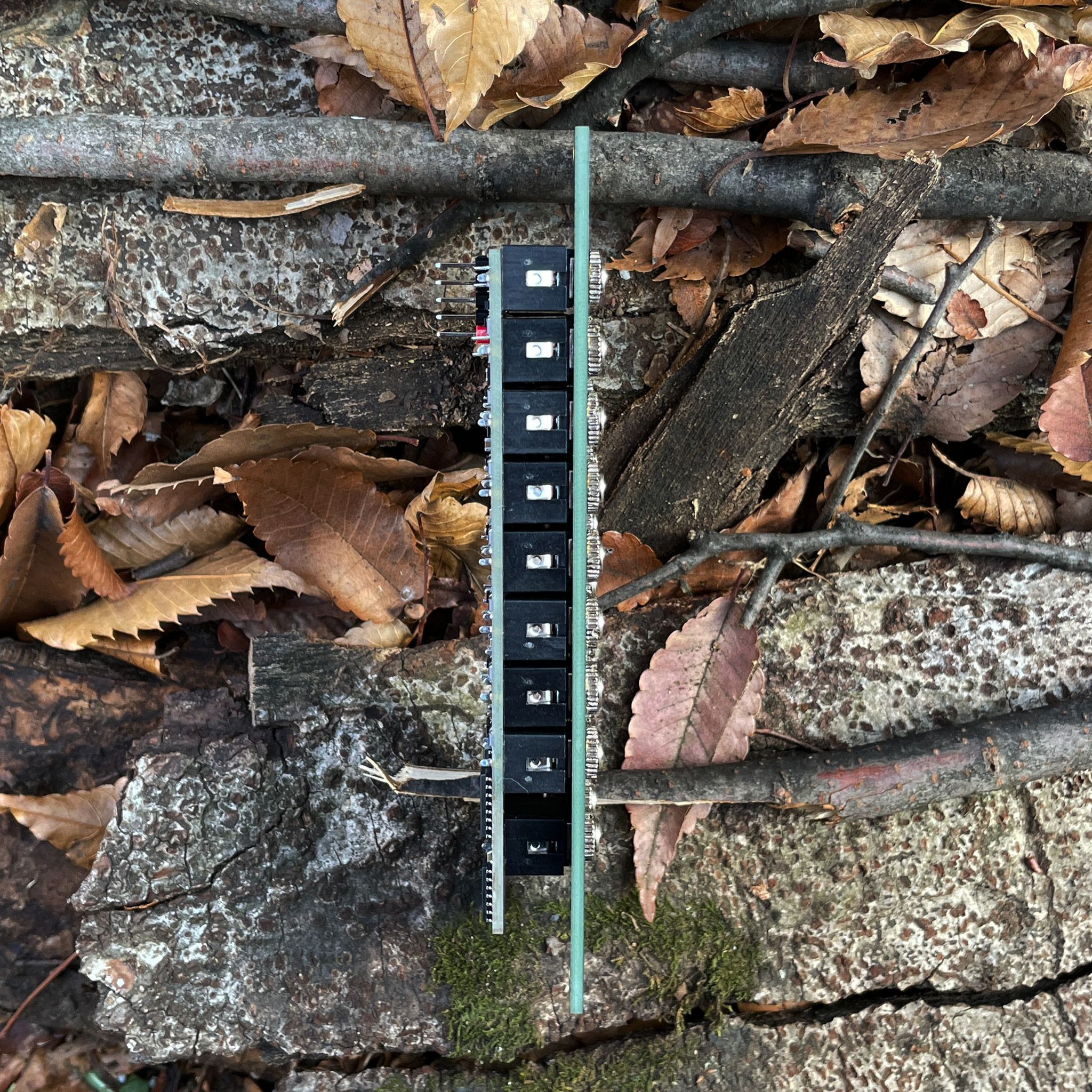 Beat Freqs – beatsville