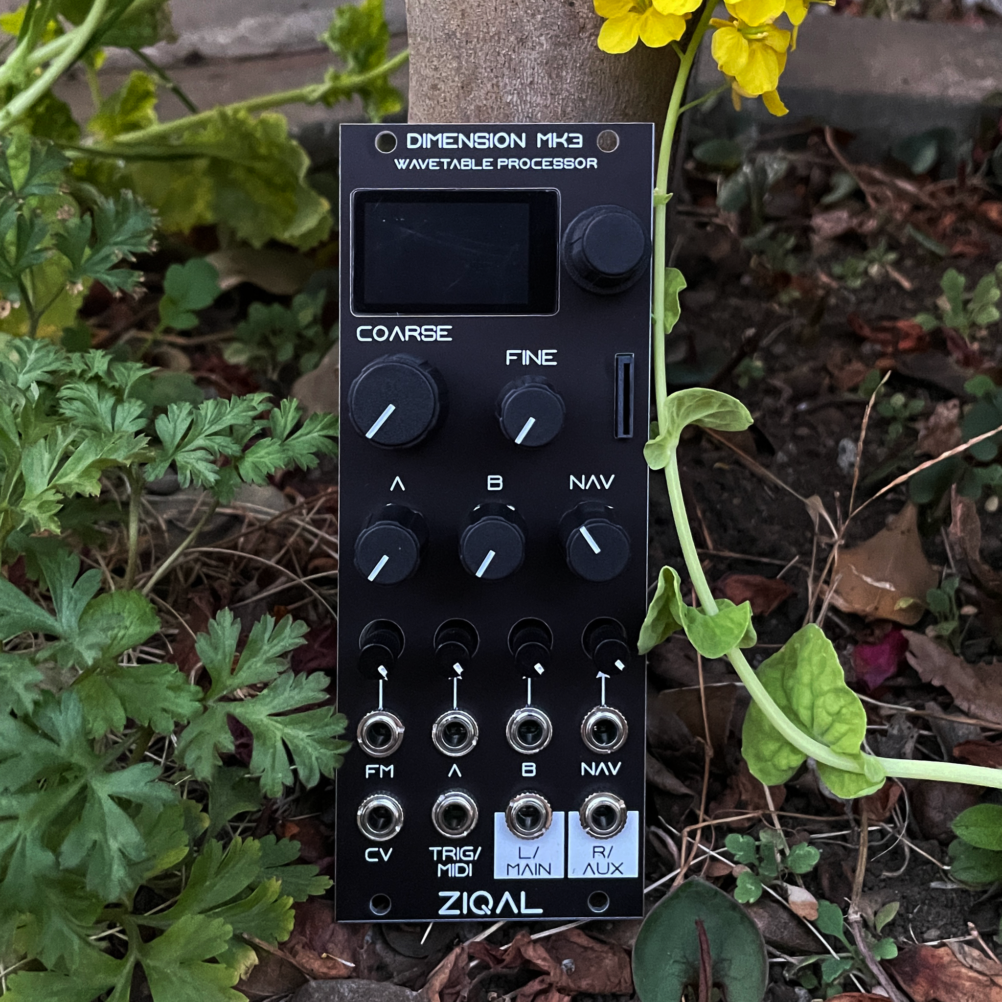 DIMENSION MK3 – beatsville